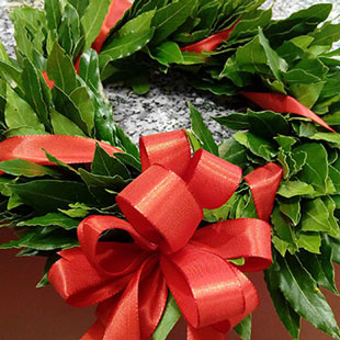 Corone di Laurea