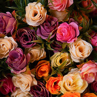 Fiori Finti e Setati